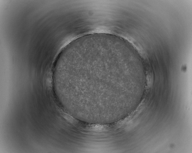 X0000103271266200809191734