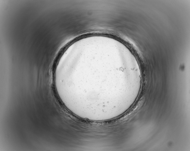 X0000103271267200809191734