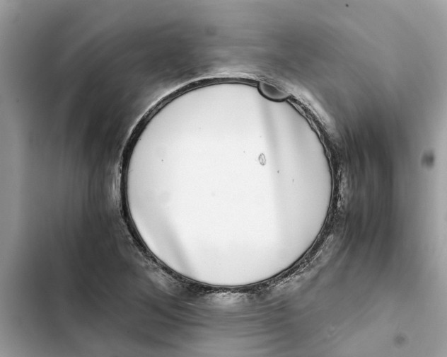 X0000103271268200809191734