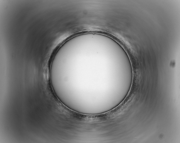 X0000103271269200809191734