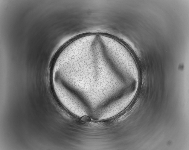 X0000103271270200809191734