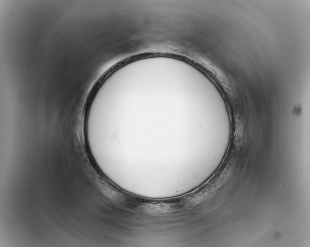 X0000103271272200809191734