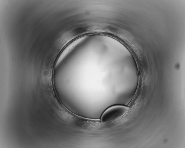 X0000103271273200809191734