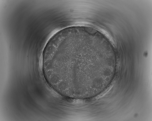 X0000103271275200809191734