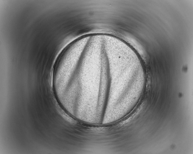 X0000103271276200809191733