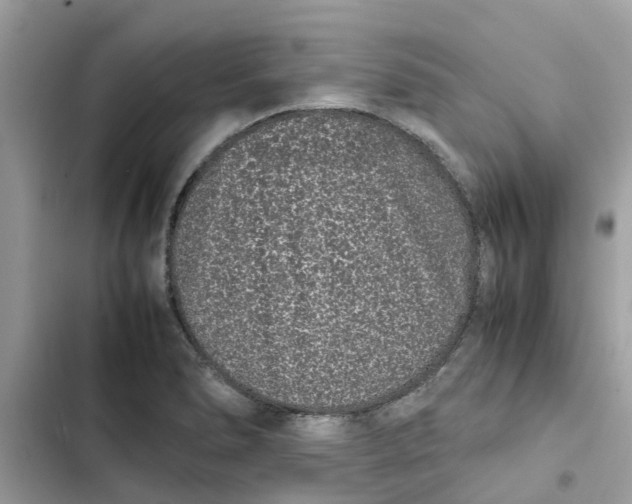 X0000103271278200809191733