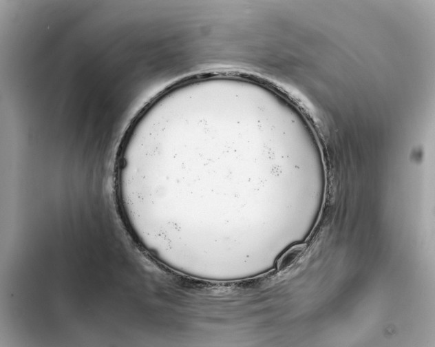 X0000103271279200809191733