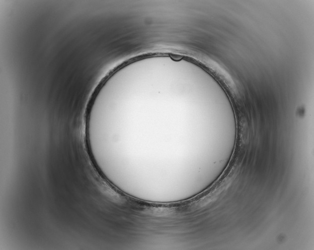 X0000103271280200809191733