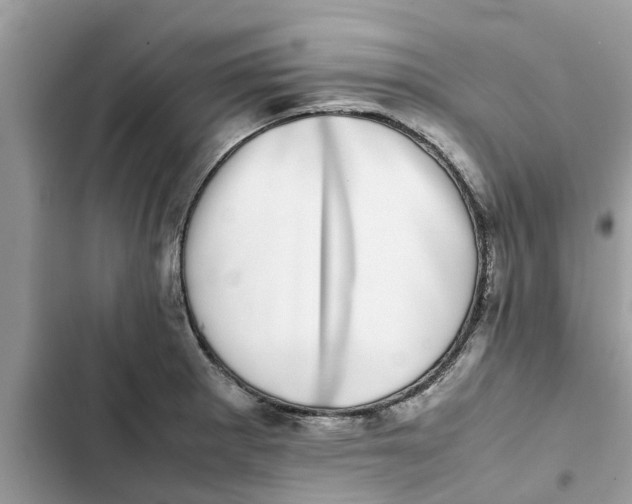 X0000103271281200809191733