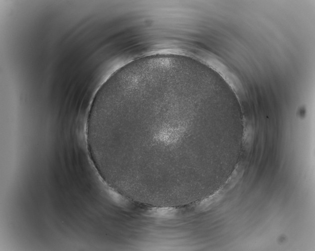 X0000103271282200809191733