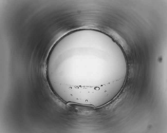 X0000103271284200809191733