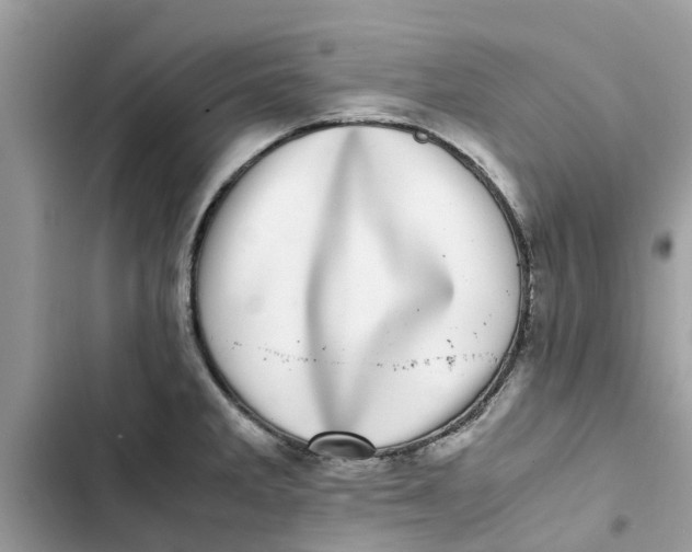 X0000103271285200809191733