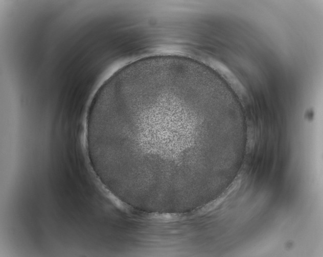 X0000103271286200809191733