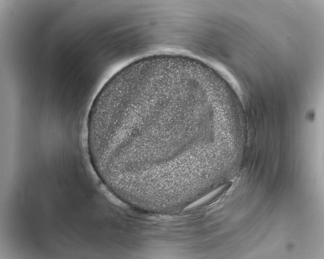 X0000103271287200809191733