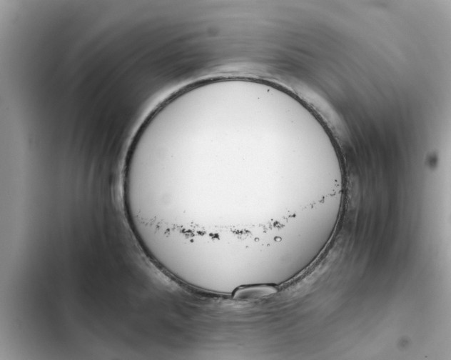 X0000103271288200809191733