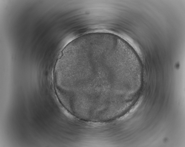 X0000103271289200809191733