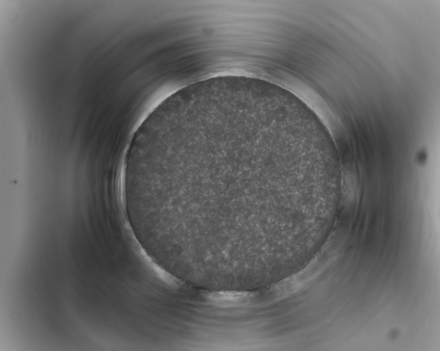 X0000103271290200809191733