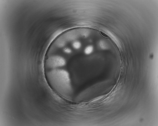 X0000103271291200809191733