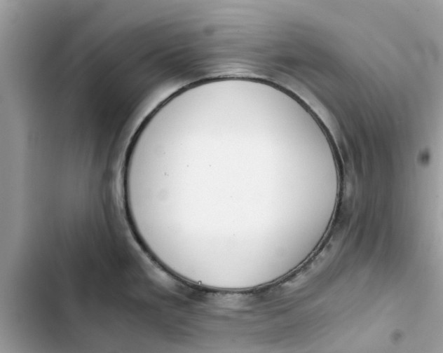 X0000103271293200809191733