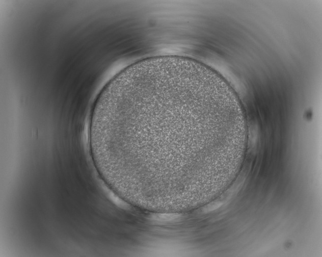 X0000103271294200809191733