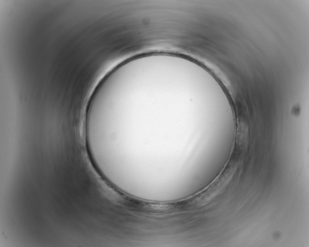 X0000103271295200809191733