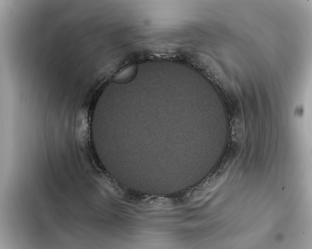 X0000103271298200809191733