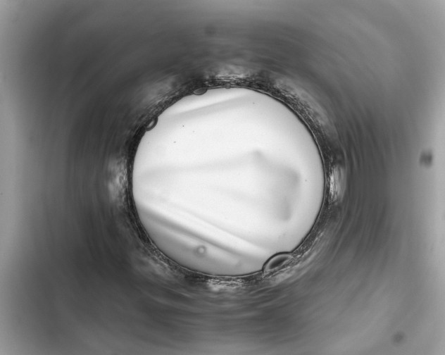 X0000103271299200809191733