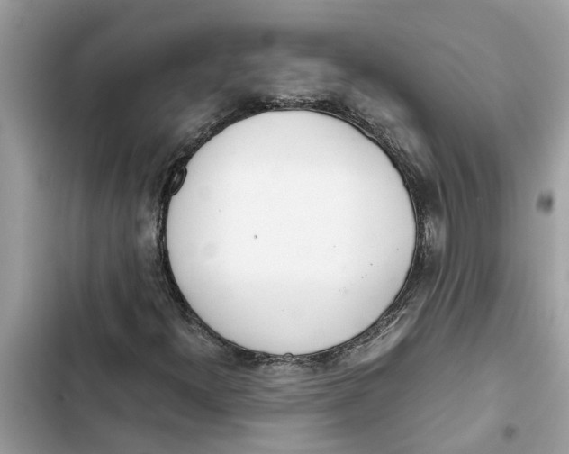 X0000103271300200809191733