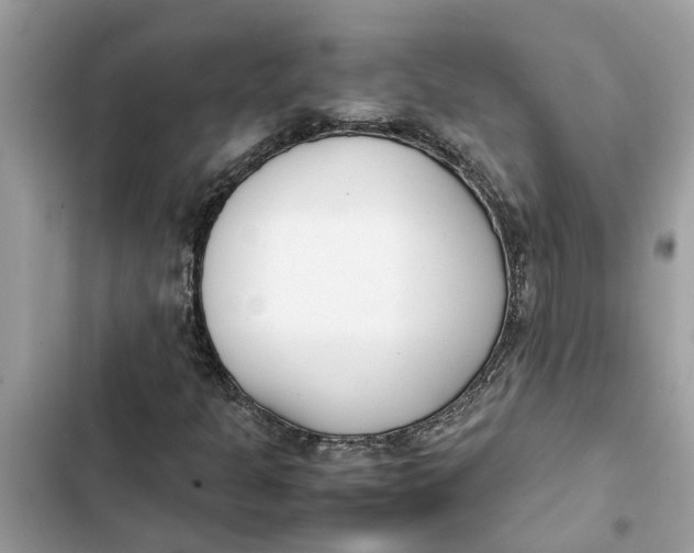 X0000103271301200809191733