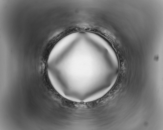 X0000103271302200809191733