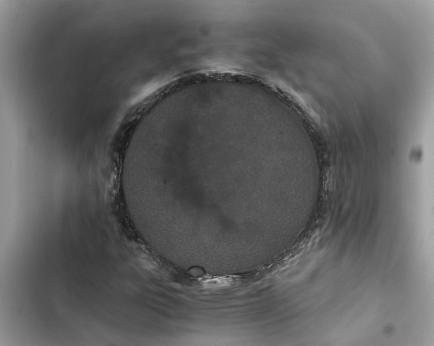 X0000103271303200809191733
