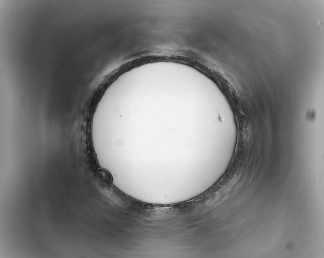 X0000103271304200809191733