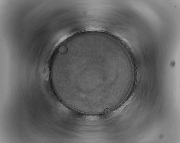 X0000103271306200809191733