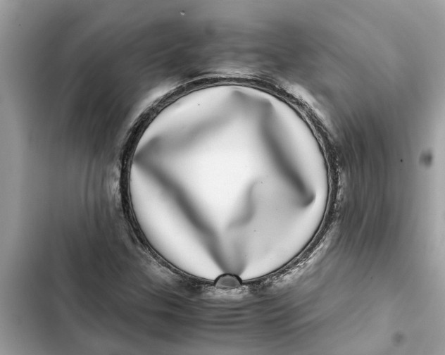 X0000103271307200809191733