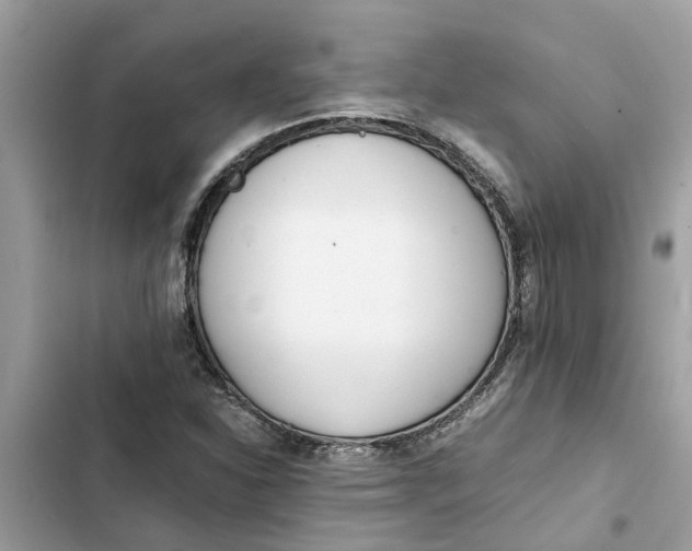 X0000103271310200809191733