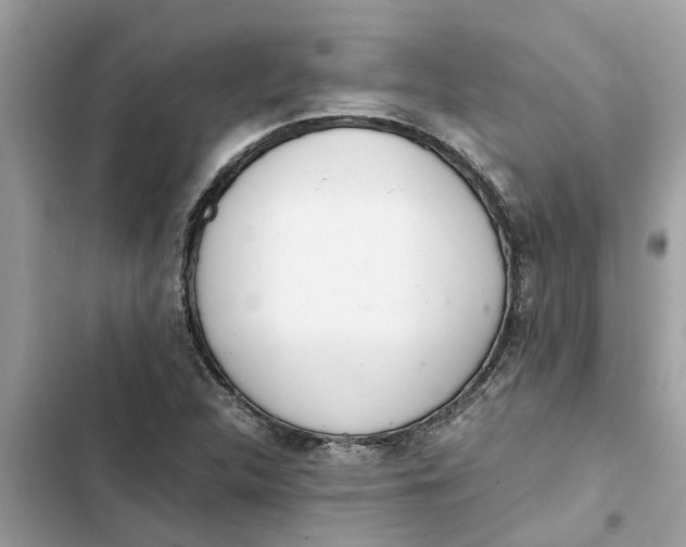 X0000103271312200809191733