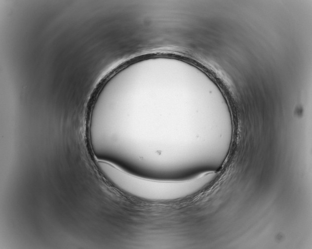 X0000103271316200809191733