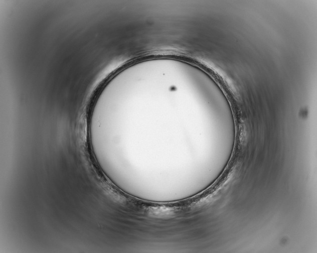 X0000103271317200809191733