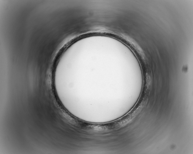 X0000103271318200809191733