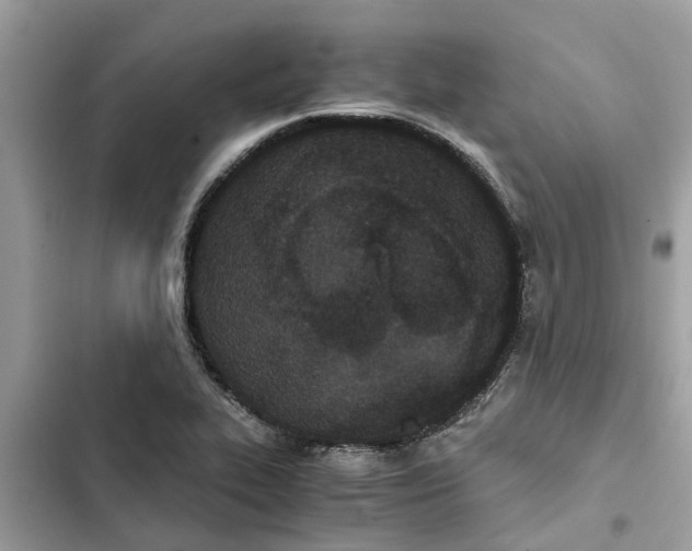 X0000103271319200809191733