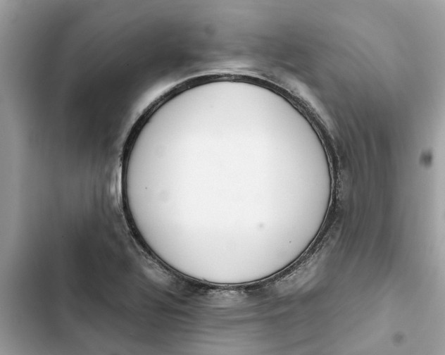 X0000103271320200809191733
