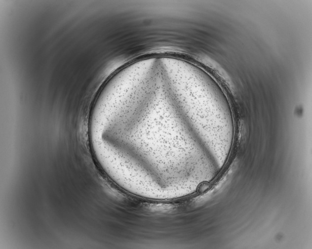X0000103271321200809191733