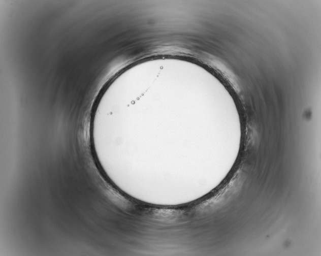 X0000103271322200809191733