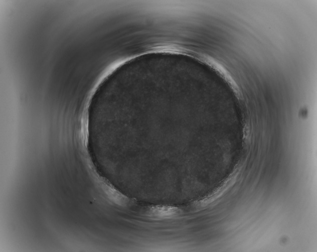 X0000103271323200809191733