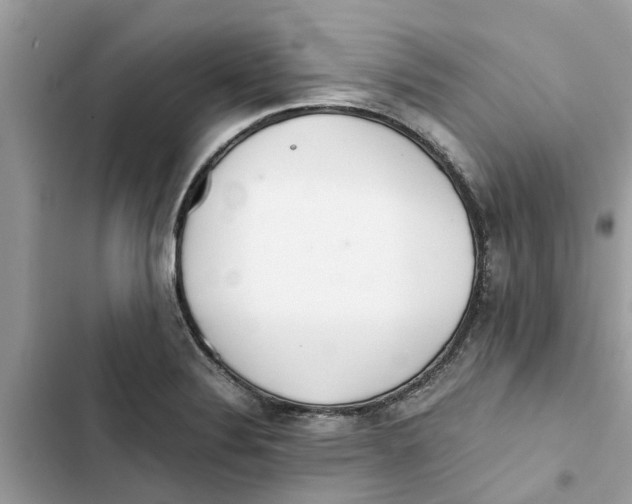 X0000103271324200809191733