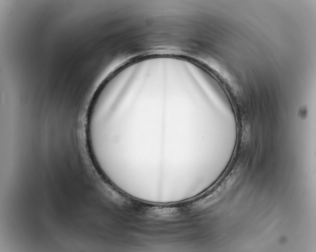 X0000103271325200809191733