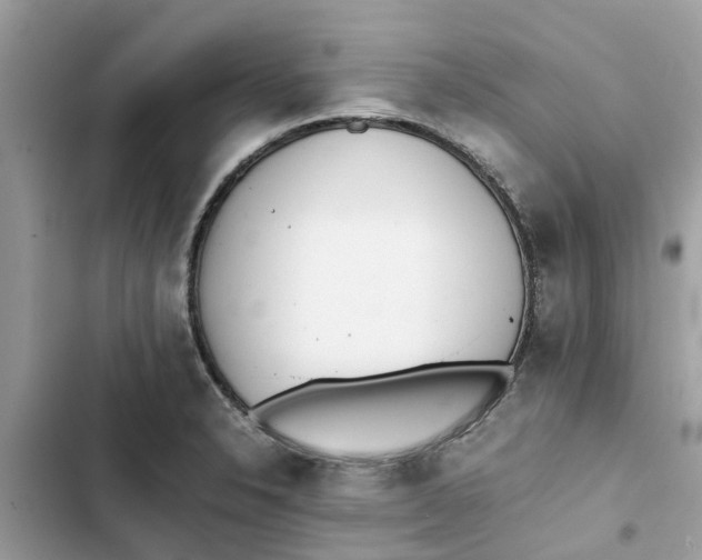 X0000103271326200809191733