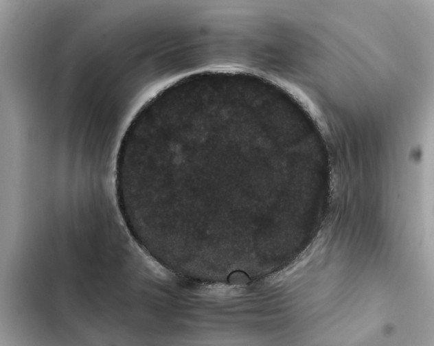 X0000103271327200809191733