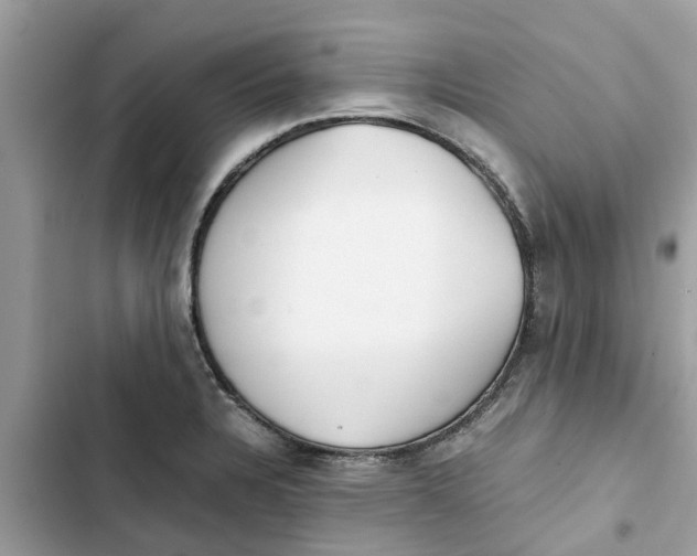 X0000103271328200809191733
