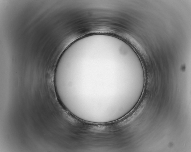 X0000103271329200809191733